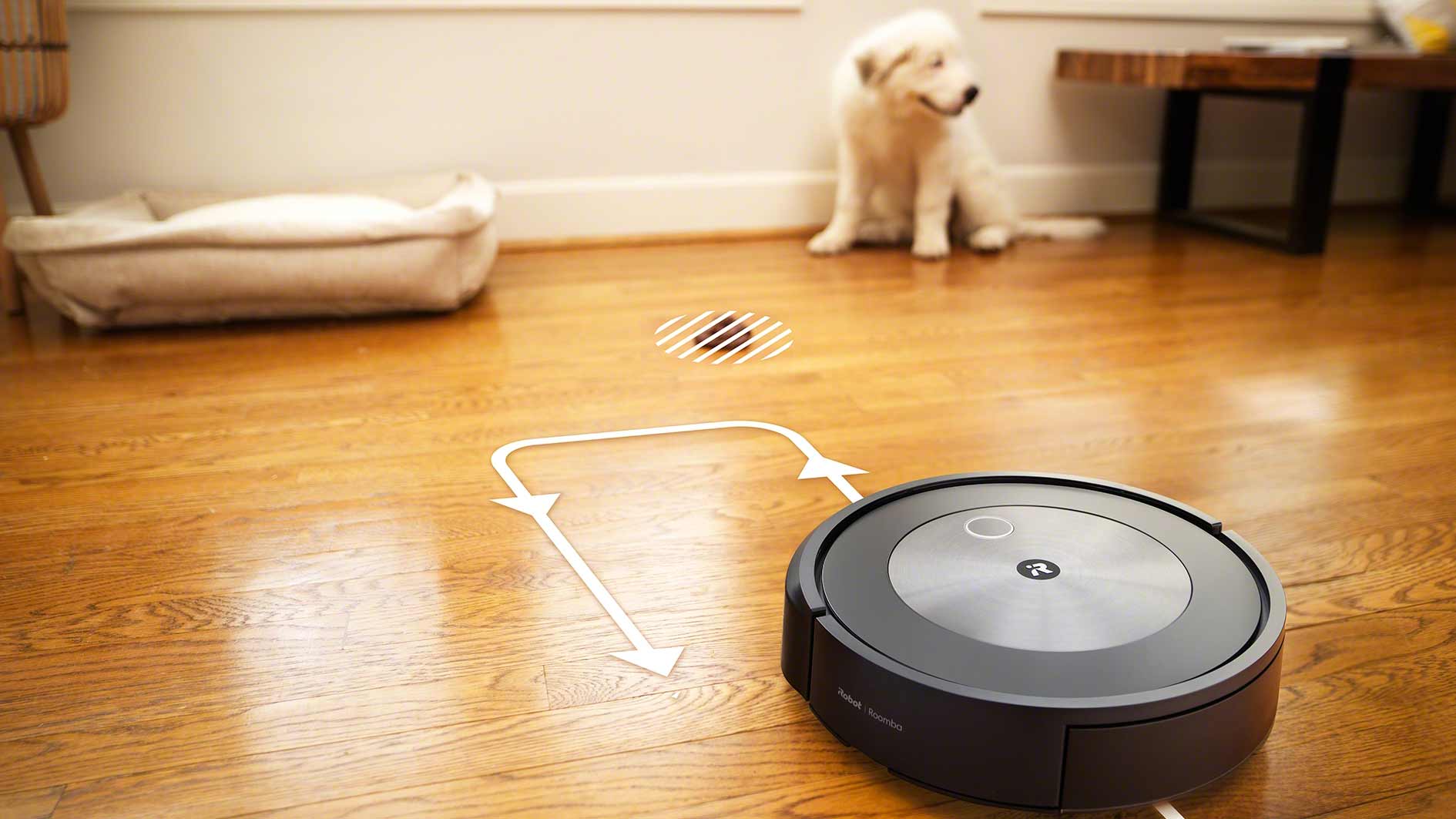 Um robô aspirador e um cão branco em um piso de madeira