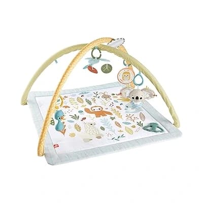 Fisher-Price Simply Senses